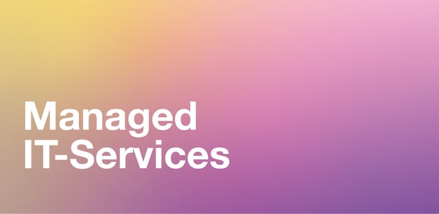 Emerion_Loesung_Managed-IT-Services